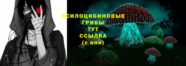 ГАЛЛЮЦИНОГЕННЫЕ ГРИБЫ Осинники