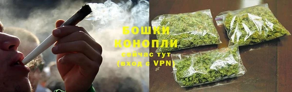 ГАЛЛЮЦИНОГЕННЫЕ ГРИБЫ Осинники