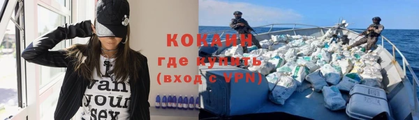 ГАЛЛЮЦИНОГЕННЫЕ ГРИБЫ Осинники