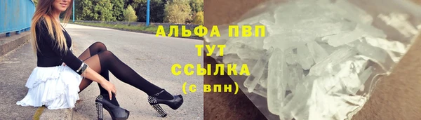 ГАЛЛЮЦИНОГЕННЫЕ ГРИБЫ Осинники