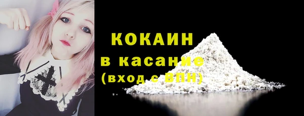 ГАЛЛЮЦИНОГЕННЫЕ ГРИБЫ Осинники