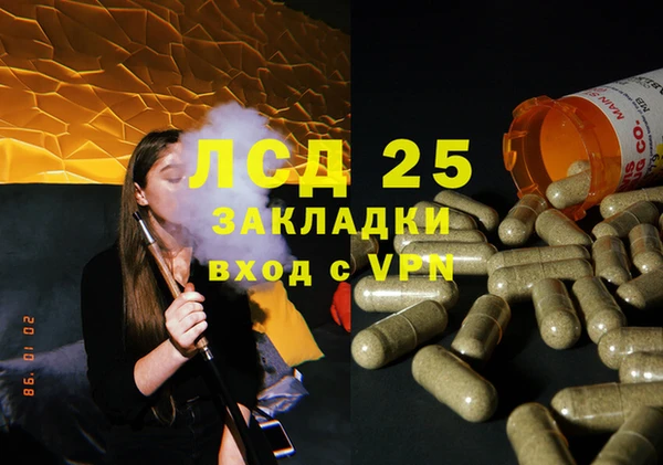 ГАЛЛЮЦИНОГЕННЫЕ ГРИБЫ Осинники