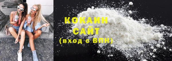 ГАЛЛЮЦИНОГЕННЫЕ ГРИБЫ Осинники