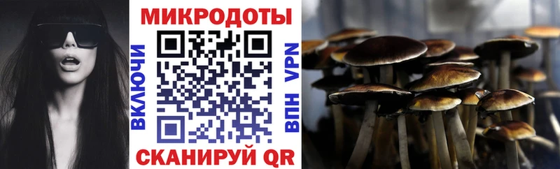 OMG вход  Ивдель  Галлюциногенные грибы Cubensis 